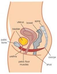 vaginal discomfort before period #10